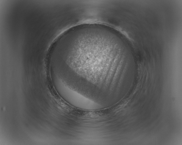 X0000073891311200608251421