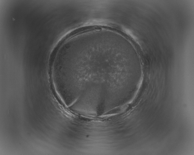 X0000073891312200608251421