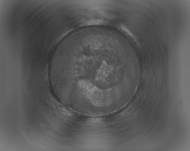 X0000073891313200608251421