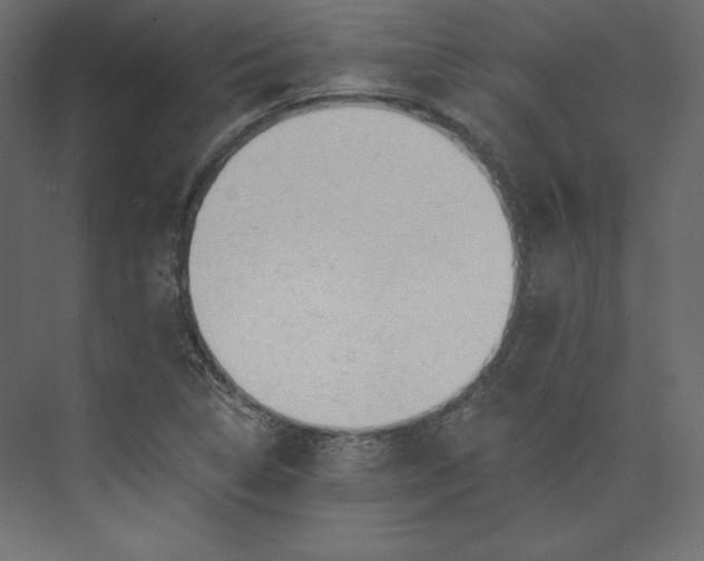 X0000073891314200608251421