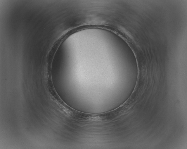 X0000073891315200608251421