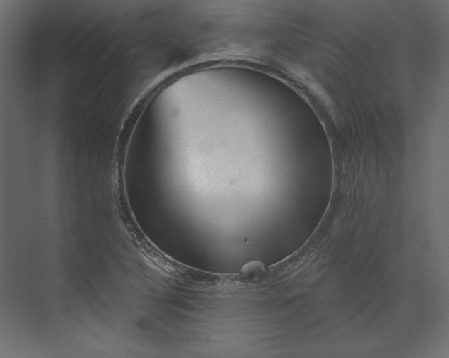 X0000073891316200608251421