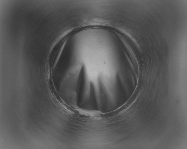 X0000073891317200608251421