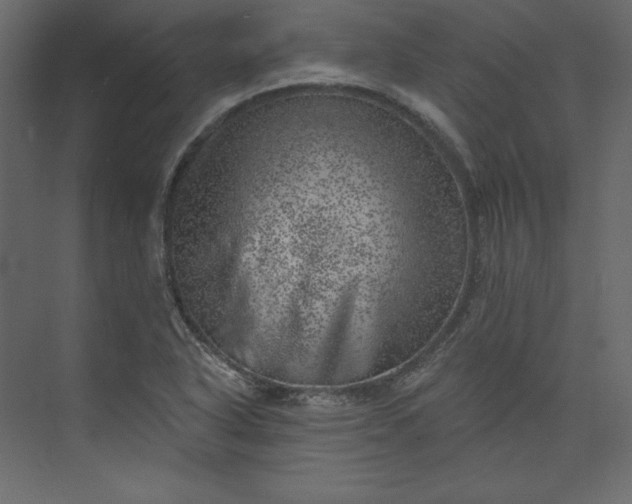 X0000073891318200608251421