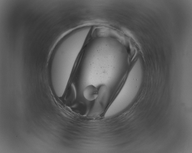 X0000073891320200608251421