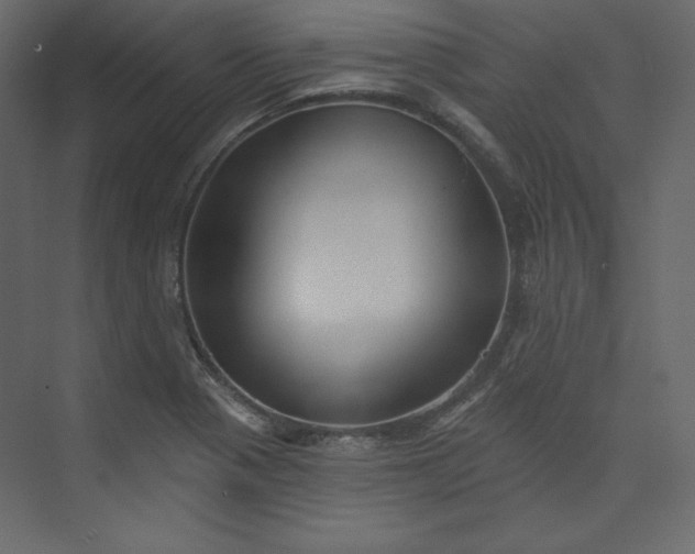 X0000073891321200608251421