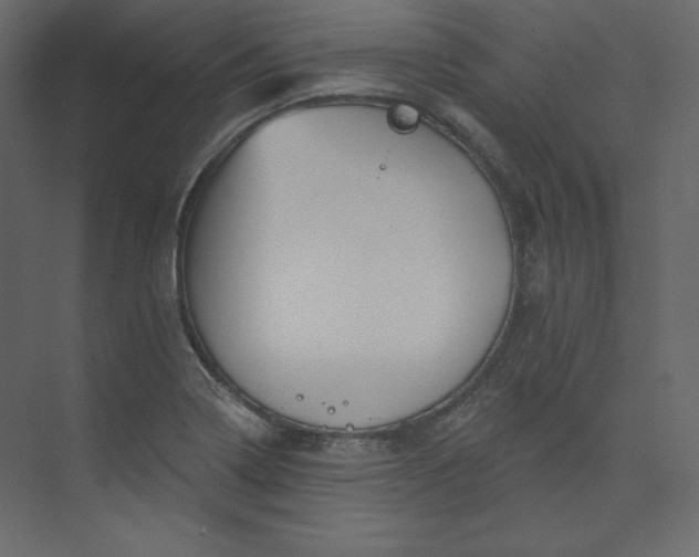 X0000073891322200608251421