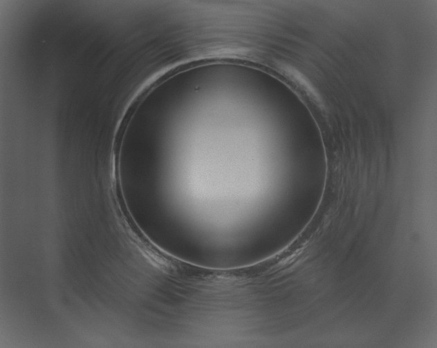 X0000073891324200608251421