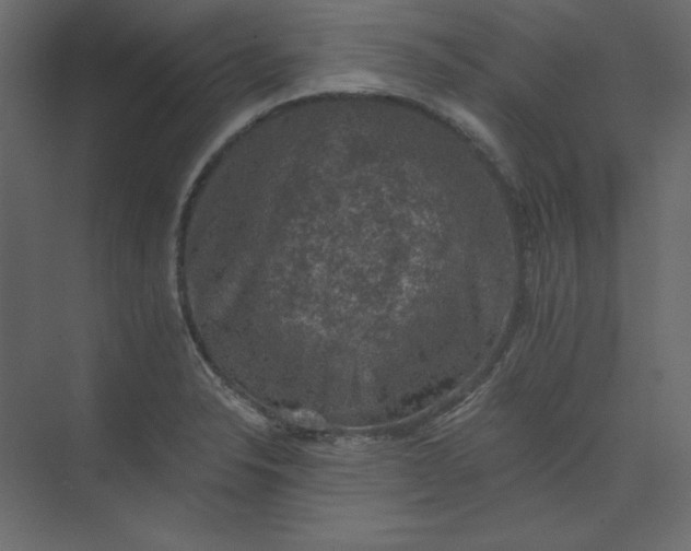 X0000073891326200608251421