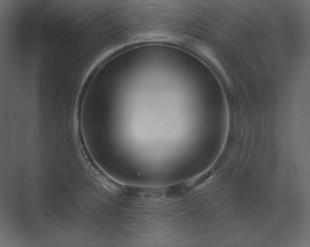 X0000073891328200608251421