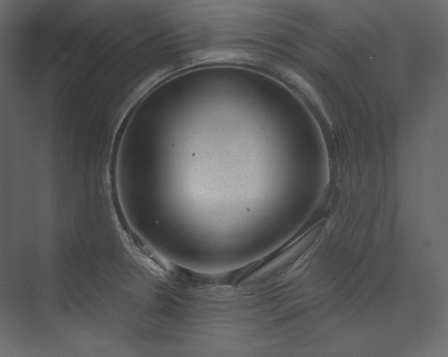 X0000073891330200608251421