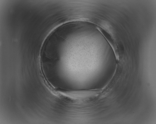 X0000073891332200608251421