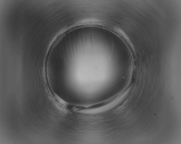 X0000073891336200608251421