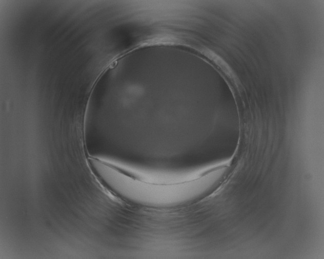 X0000073891337200608251421