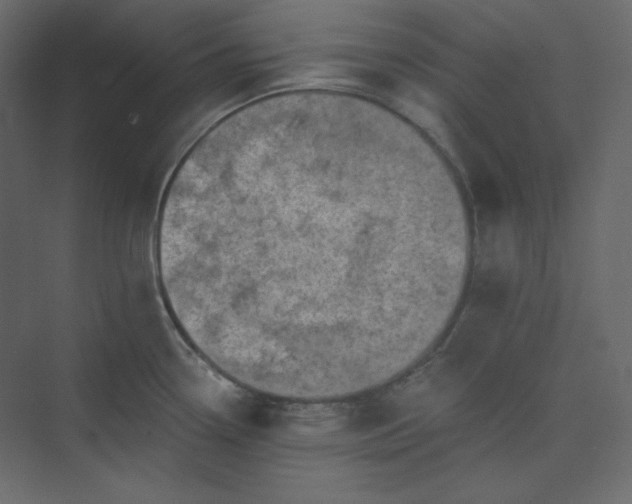 X0000073891338200608251421