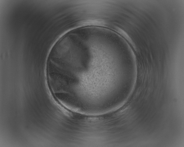 X0000073891339200608251421