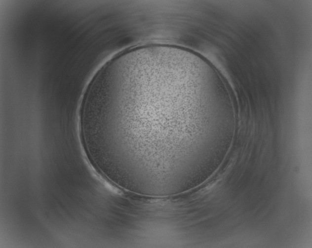 X0000073891341200608251421