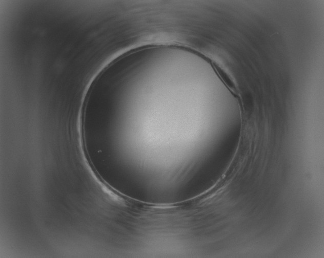 X0000073891343200608251421