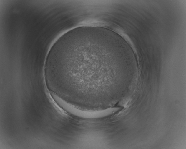 X0000073891344200608251421