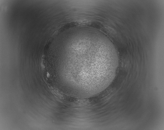 X0000073891346200608251420