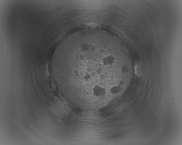 X0000073891347200608251420