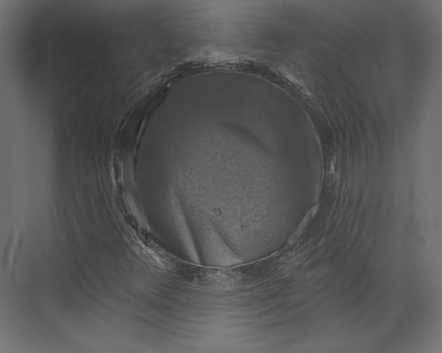 X0000073891348200608251420