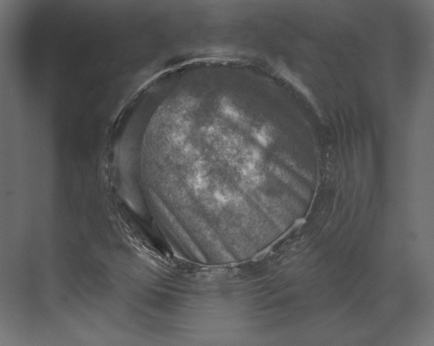 X0000073891352200608251420