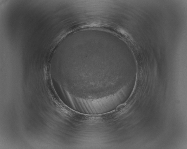 X0000073891353200608251420