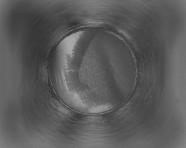 X0000073891354200608251420