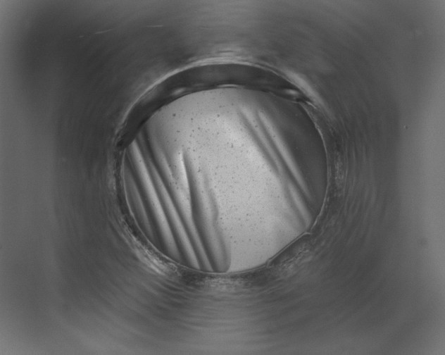 X0000073891356200608251420