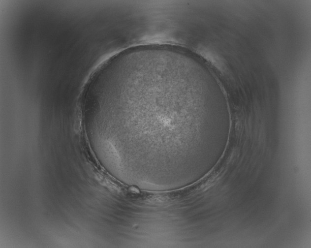 X0000073891358200608251420