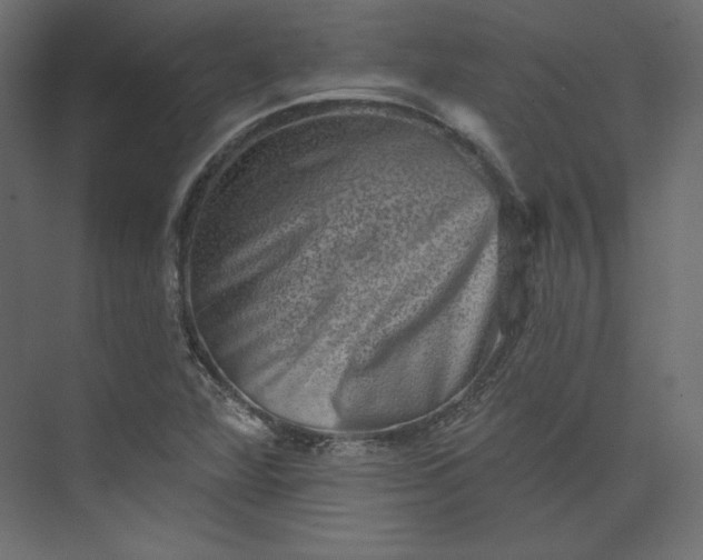 X0000073891360200608251420