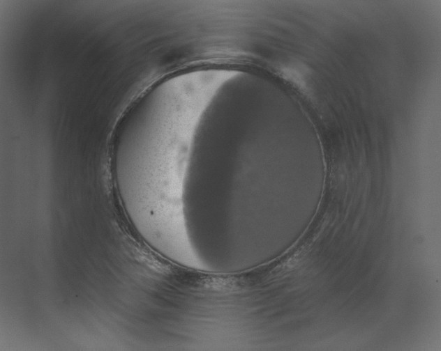 X0000073891362200608251420