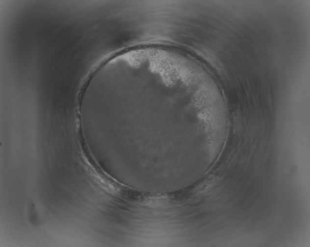 X0000073891363200608251420