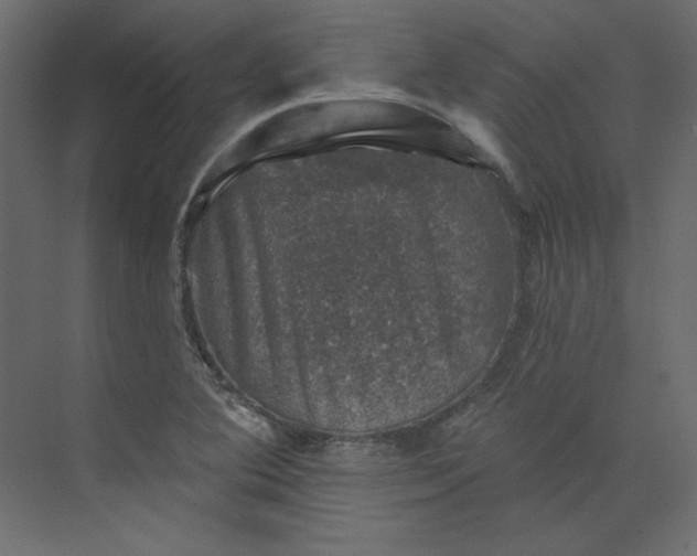 X0000073891364200608251420