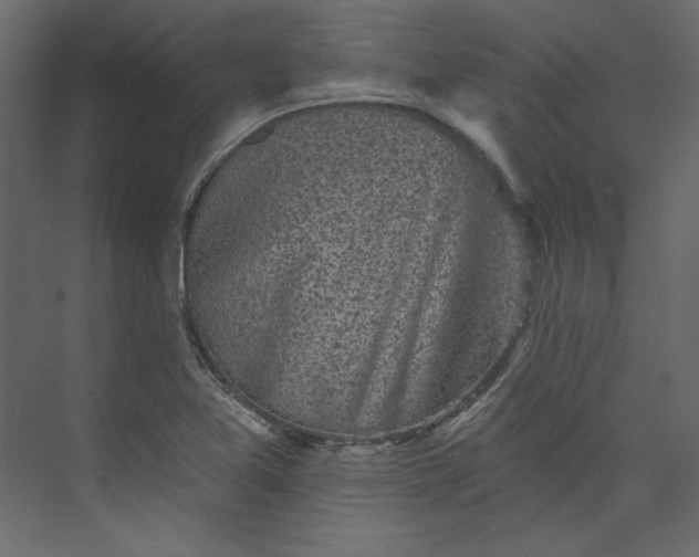 X0000073891365200608251420