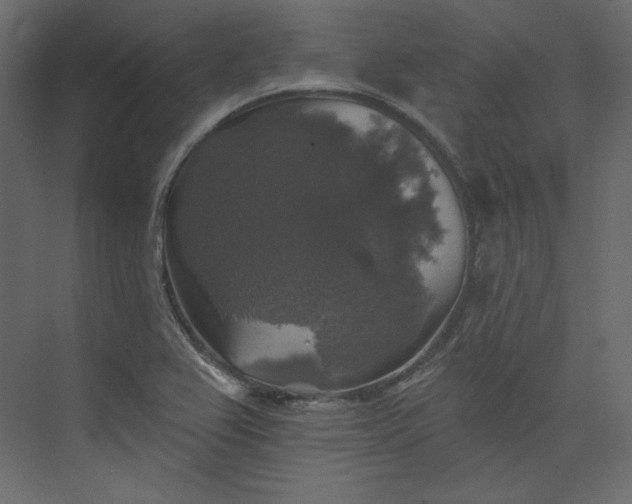 X0000073891367200608251420