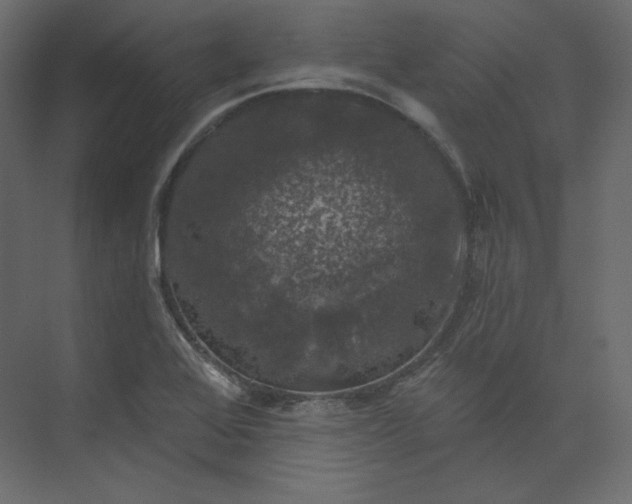 X0000073891368200608251420