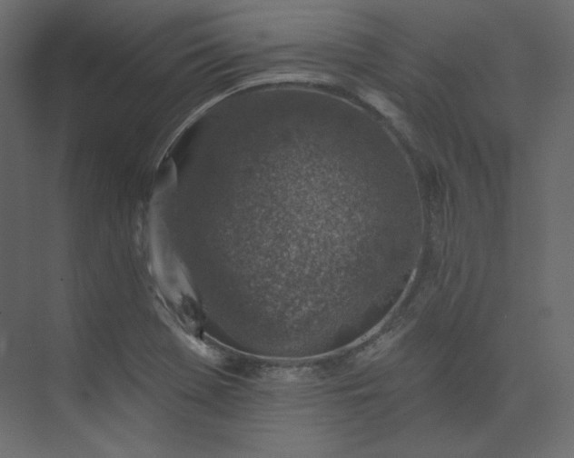 X0000073891369200608251420