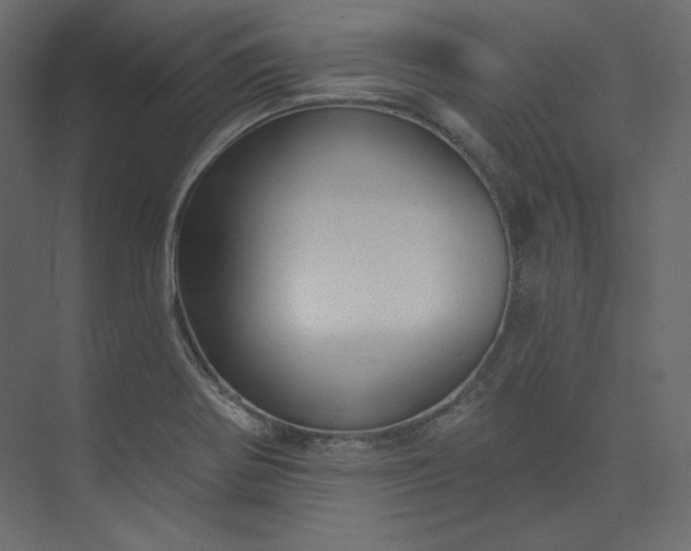 X0000073891370200608251420