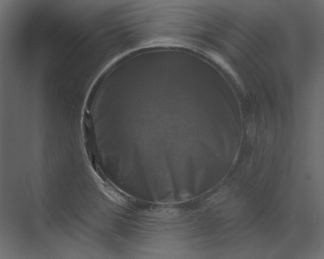 X0000073891372200608251420