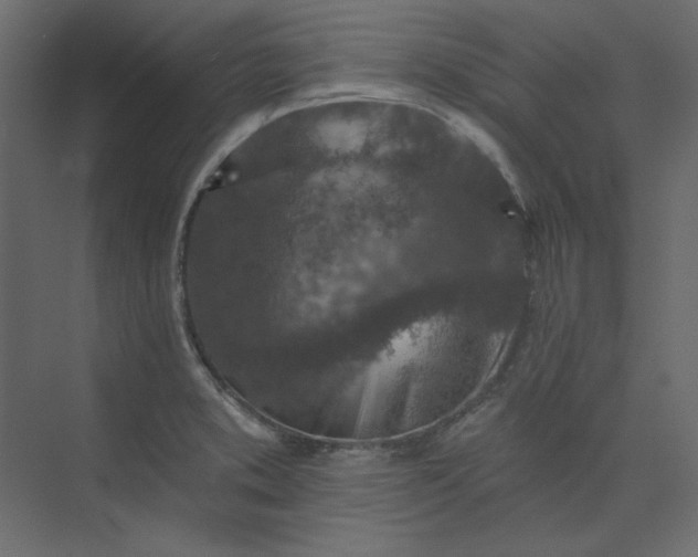 X0000073891373200608251420