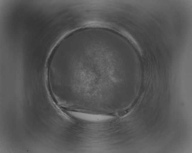 X0000073891376200608251420