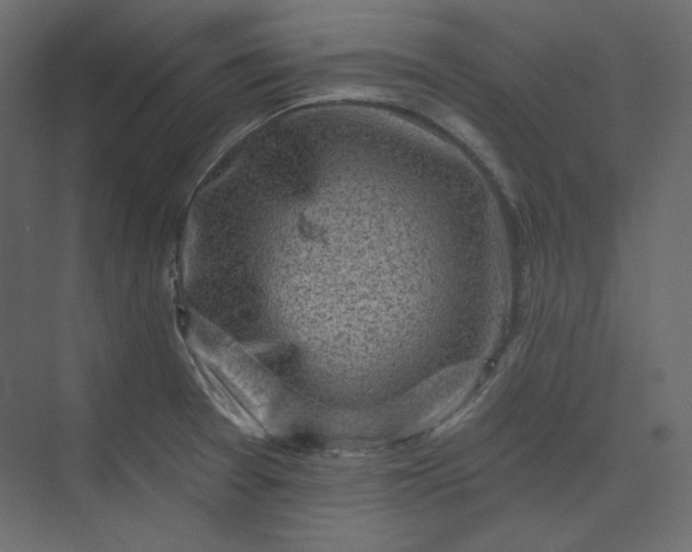 X0000073891377200608251420