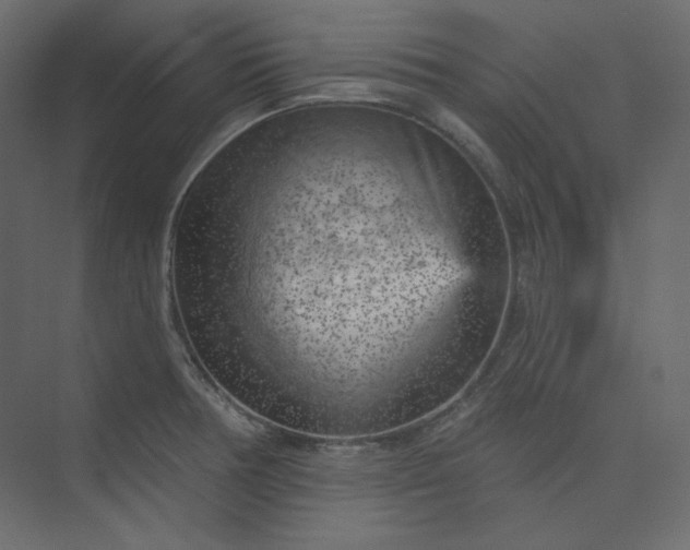 X0000073891378200608251420