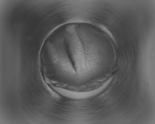 X0000073891380200608251420