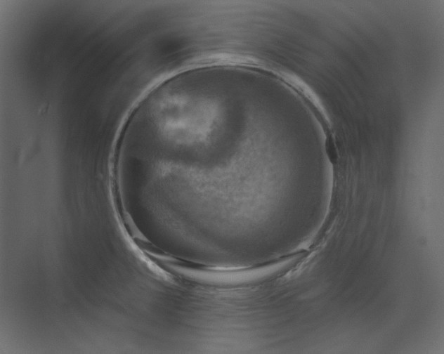 X0000073891381200608251420