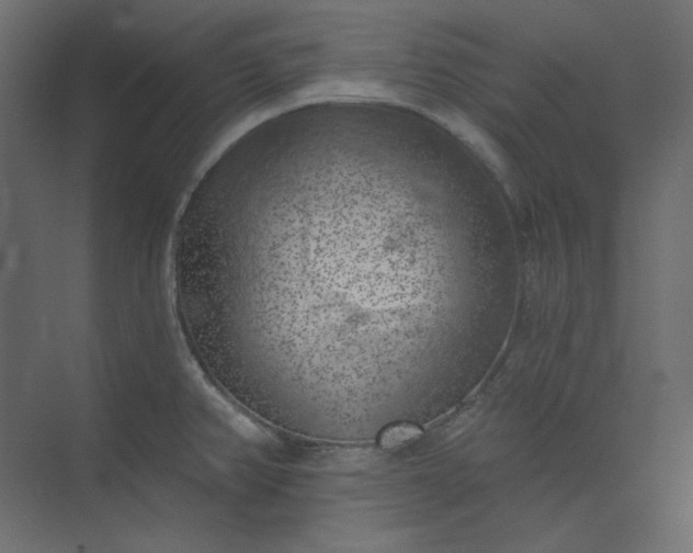 X0000073891382200608251420