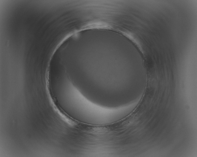 X0000073891383200608251420