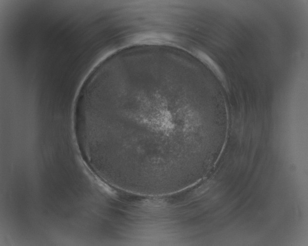 X0000073891384200608251420